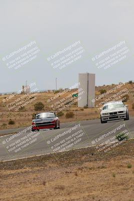 media/May-03-2025-Lucky Dog Racing (Sat) [[206de64b9d]]/Turn 6 (150pm-230pm)/